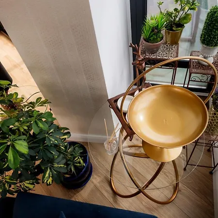 Отель Brater Luxury 4*