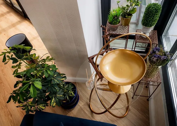 Hotell Brater Luxury 4*